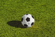 足球比赛实时控球率统计图表